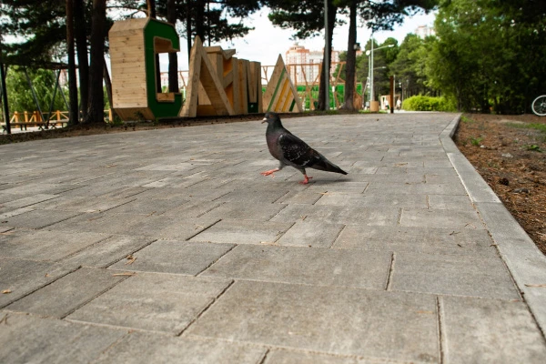 укладка плитки в Сургуте