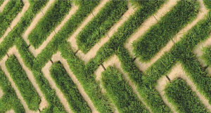 Б.2.ГР.8 гладкий серый