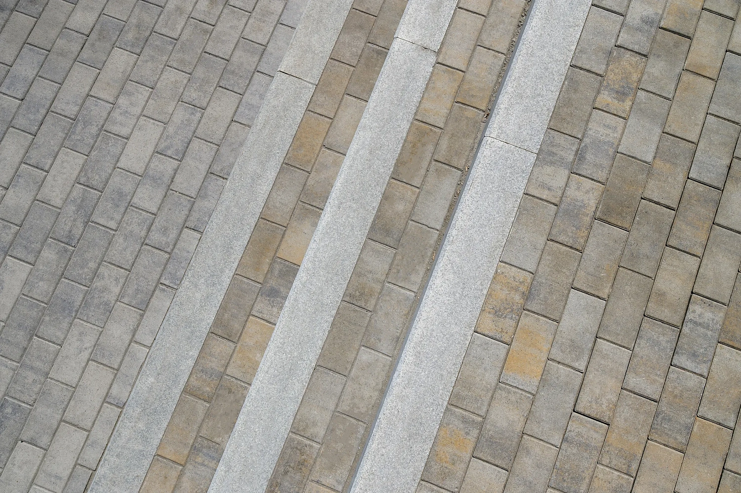 Тюменский Государственный Университет (ТюмГУ) новый корпус